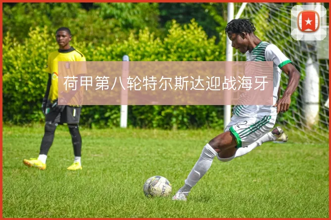 荷甲第八轮特尔斯达迎战海牙