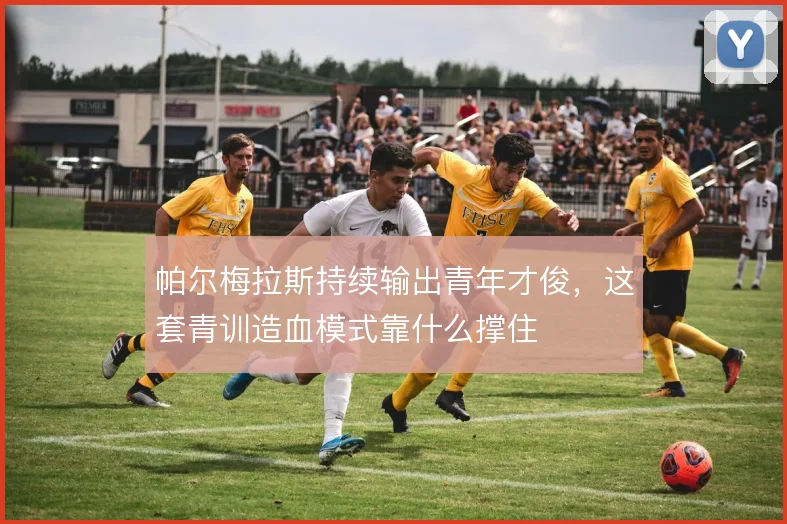 帕尔梅拉斯持续输出青年才俊，这套青训造血模式靠什么撑住